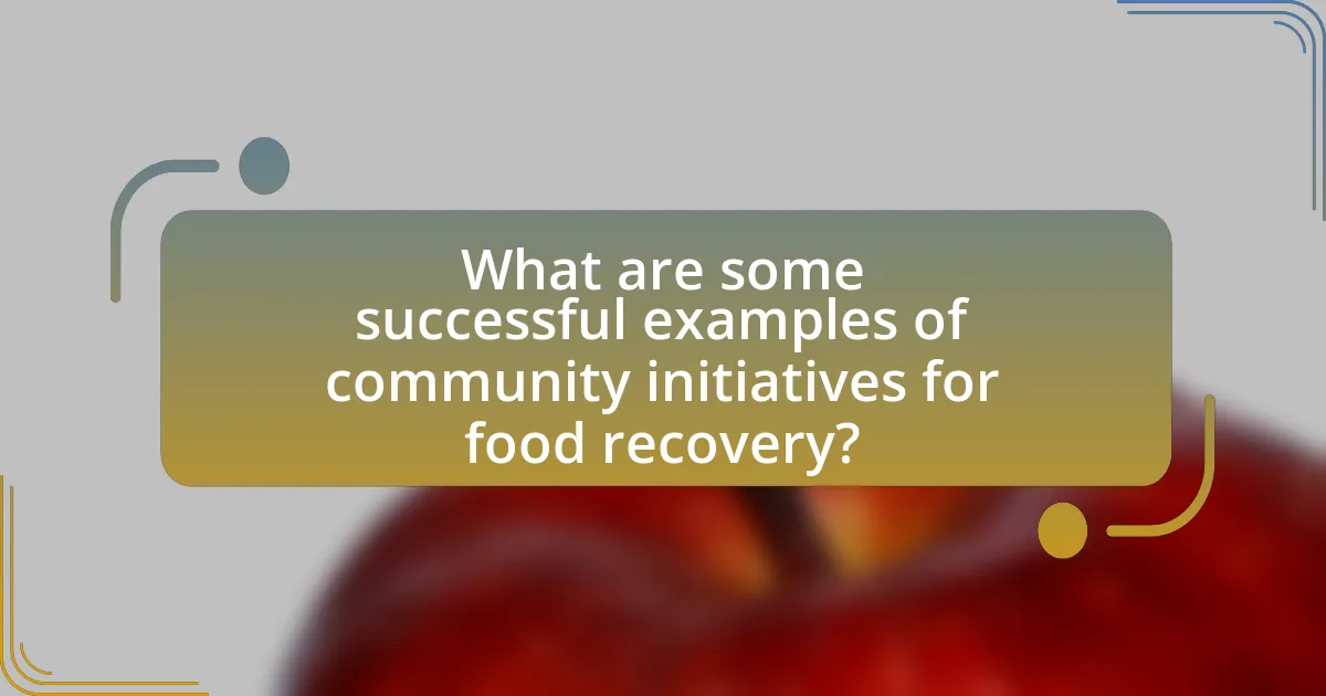 What are some successful examples of community initiatives for food recovery?