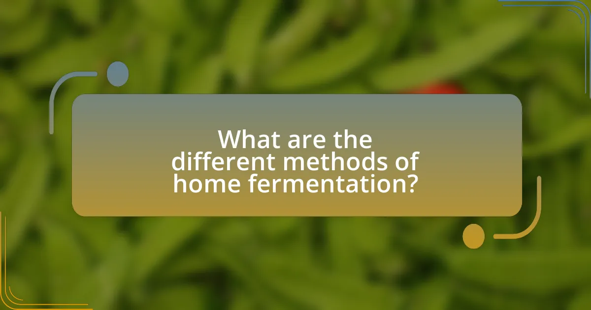 What are the different methods of home fermentation?
