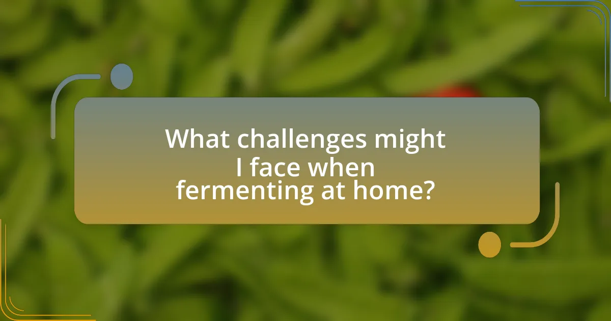 What challenges might I face when fermenting at home?