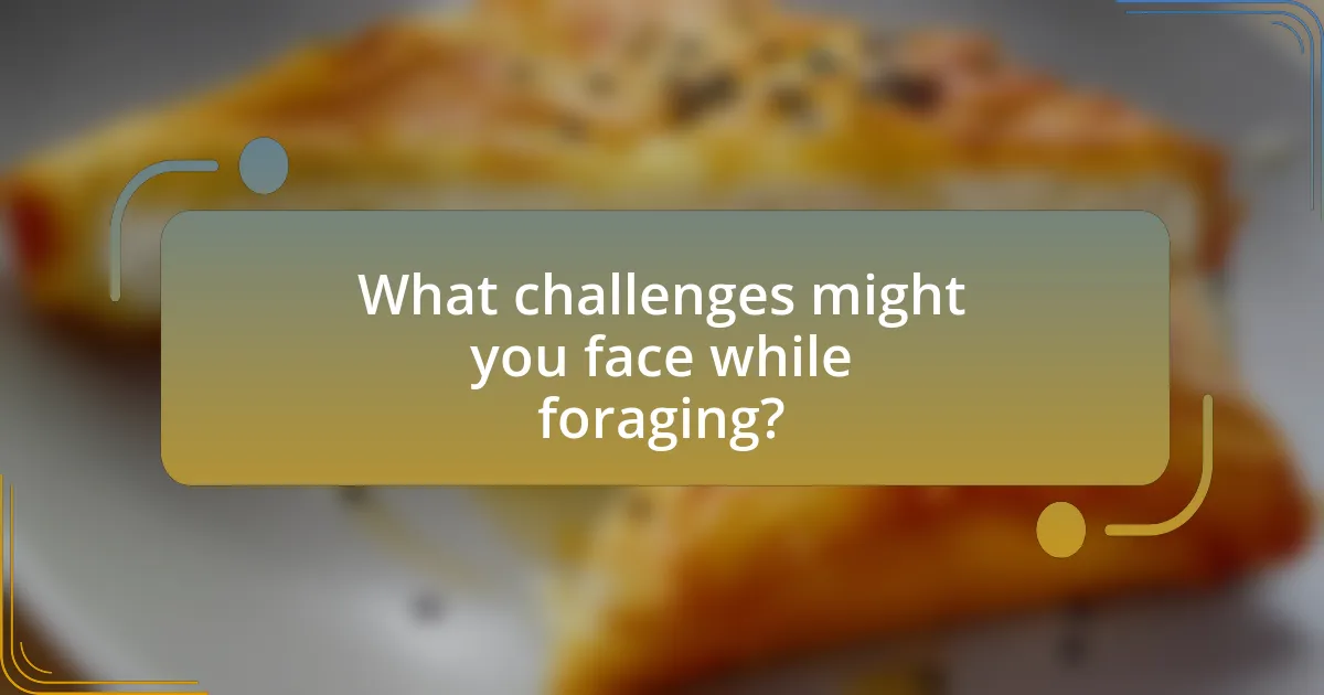 What challenges might you face while foraging?