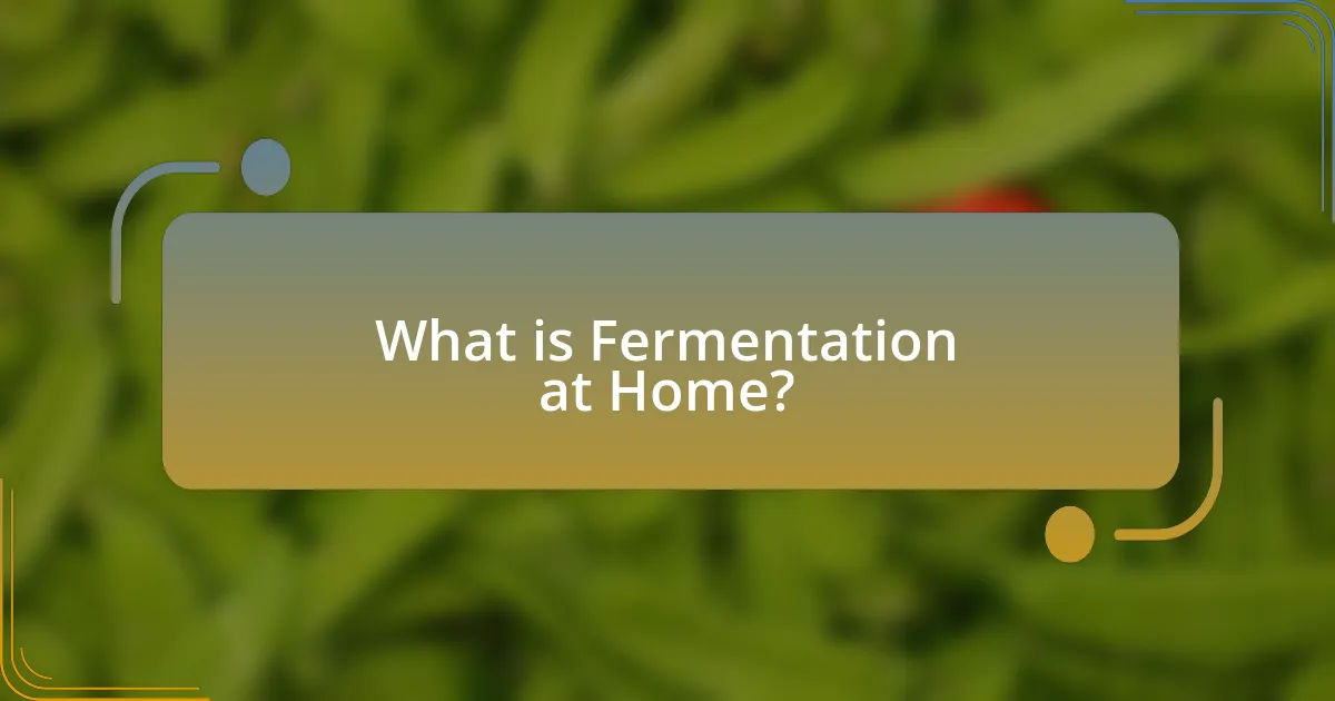 What is Fermentation at Home?