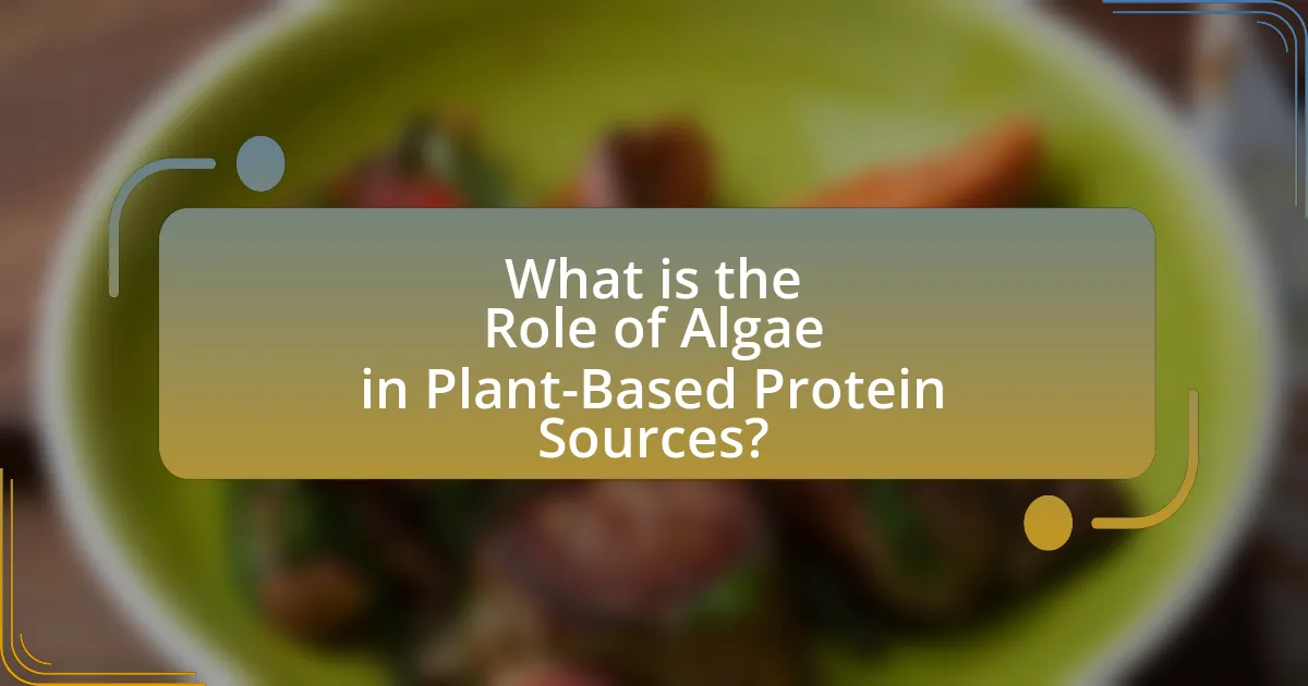 What is the Role of Algae in Plant-Based Protein Sources?