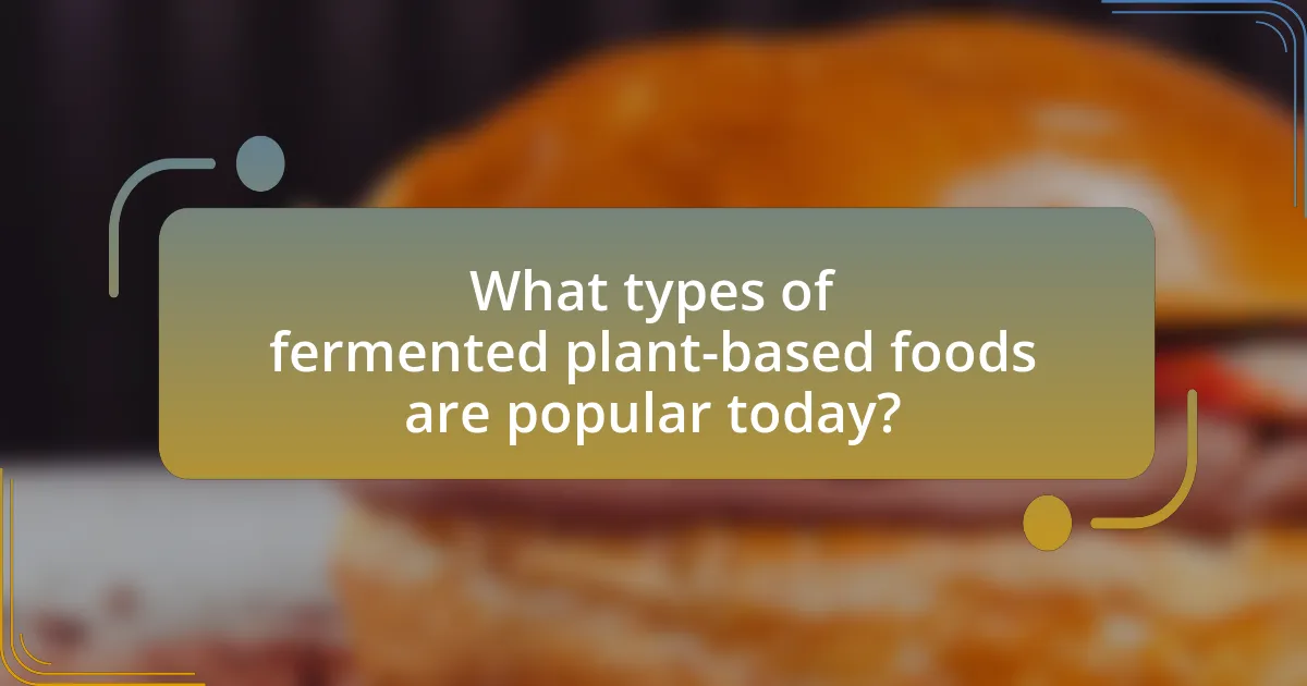 What types of fermented plant-based foods are popular today?