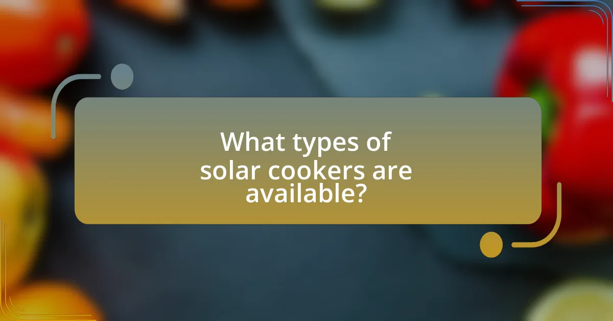 What types of solar cookers are available?